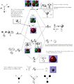 Thumbnail for version as of 13:04, 10 December 2014