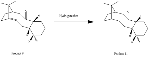 File:Hydrgenation products (Taxol).bmp