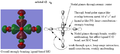 Thumbnail for version as of 14:55, 20 May 2019