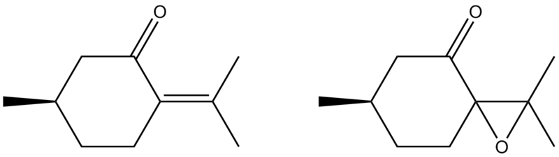 File:Jg2710 Pulgeone.png