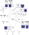 Thumbnail for version as of 15:27, 25 February 2014