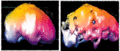 Thumbnail for version as of 14:09, 7 December 2006