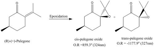 Pulegone as an alternate structure for epoxidation