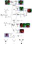 Thumbnail for version as of 16:19, 8 March 2011