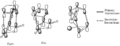 Thumbnail for version as of 17:11, 25 March 2011
