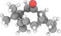 Thumbnail for version as of 20:51, 25 November 2008