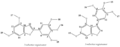 Thumbnail for version as of 13:18, 7 February 2013