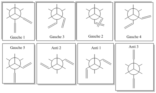 Diagram of Gauche and Anti conformers analysed