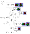 Thumbnail for version as of 10:06, 15 November 2014