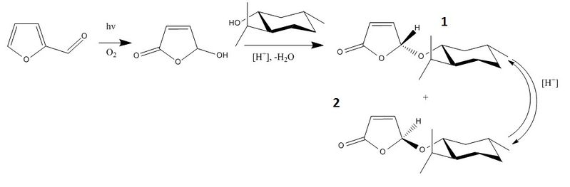 File:Reaction scheme mini projecthg508.jpg