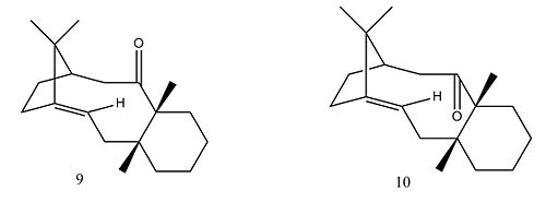 Taxol Intermediates with carbonyl up and down
