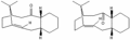 Thumbnail for version as of 22:28, 29 February 2012