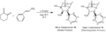 Thumbnail for version as of 14:35, 25 January 2011
