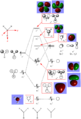 Thumbnail for version as of 14:42, 18 November 2012
