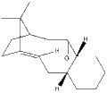 Thumbnail for version as of 18:53, 24 November 2009