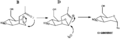 Thumbnail for version as of 09:36, 25 November 2011