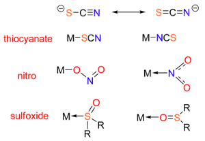 Ambidentate Ligands