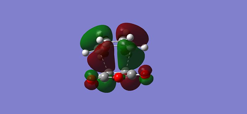 File:Jlm endo TSHOMO.jpg