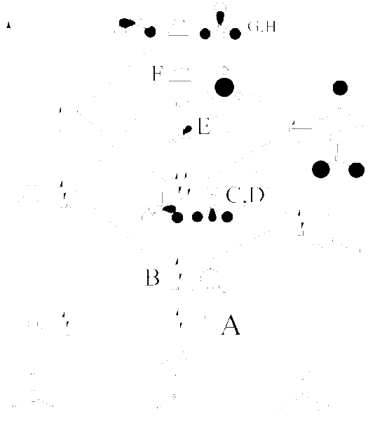 File:StuBH3 MO Diagram.gif