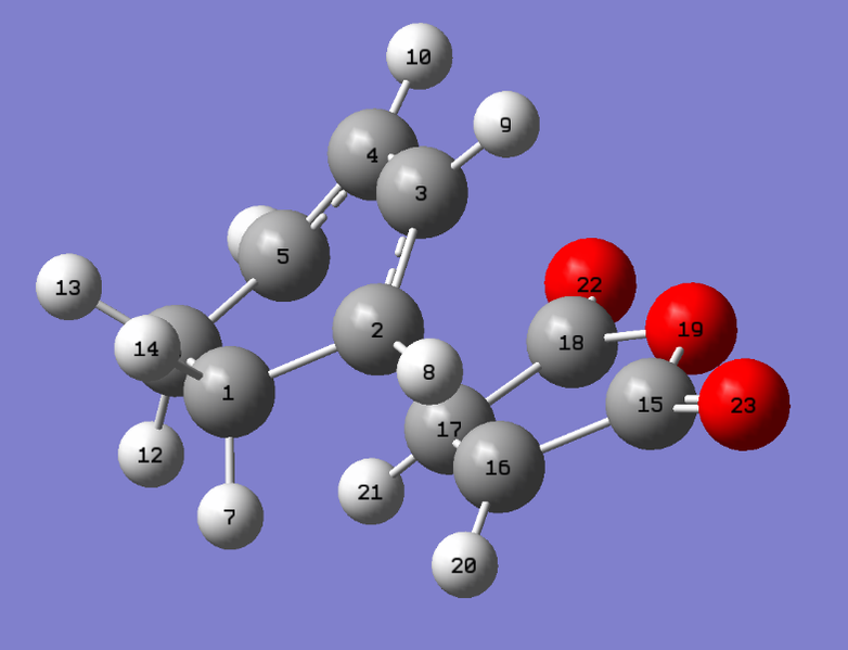 File:Endo Labels 1.png