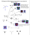 Thumbnail for version as of 13:19, 3 May 2019