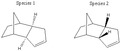 Thumbnail for version as of 15:08, 26 January 2009