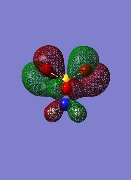 File:Anion homo-2sp.jpeg