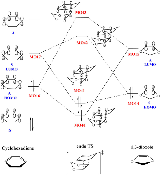 File:MO endo q2.png