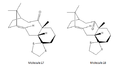 Thumbnail for version as of 16:48, 18 November 2013