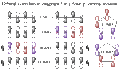 Thumbnail for version as of 01:27, 5 March 2010