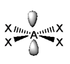 Square Planar