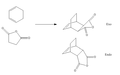Thumbnail for version as of 16:37, 17 December 2010