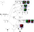Thumbnail for version as of 19:02, 25 February 2014
