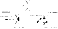 Thumbnail for version as of 08:25, 6 December 2010