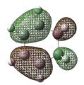 Thumbnail for version as of 15:36, 28 October 2013