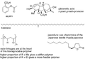 Thumbnail for version as of 01:46, 13 February 2013