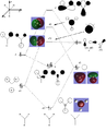 Thumbnail for version as of 13:10, 13 October 2012
