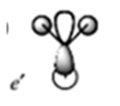 Thumbnail for version as of 16:28, 13 March 2010