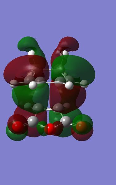 File:Homonodal.gif