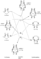 Thumbnail for version as of 16:45, 17 December 2017