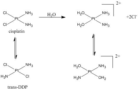File:Ms cisplatin reaction.bmp