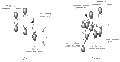 Thumbnail for version as of 01:26, 13 November 2009