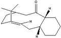 Thumbnail for version as of 15:00, 6 March 2011