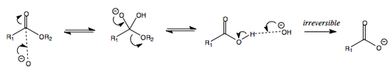 Base-catalysed ester hydrolysis