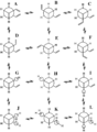 Thumbnail for version as of 19:31, 1 December 2014