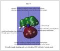 Thumbnail for version as of 18:03, 5 March 2014