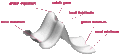 Thumbnail for version as of 14:26, 29 November 2016