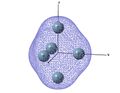 Thumbnail for version as of 20:54, 15 March 2010