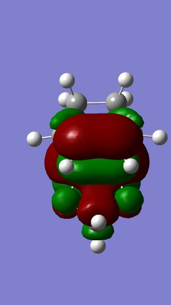 File:MA8113 HOMO TS.jpg