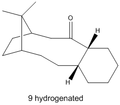 Thumbnail for version as of 08:16, 2 March 2012